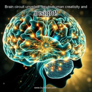 Read more about the article Brain circuit unveiled: key to human creativity and insight!