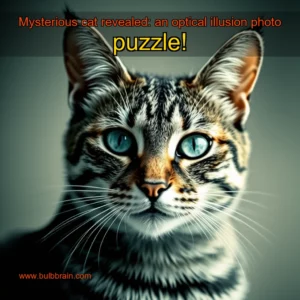 Read more about the article Mysterious cat revealed: an optical illusion photo puzzle!