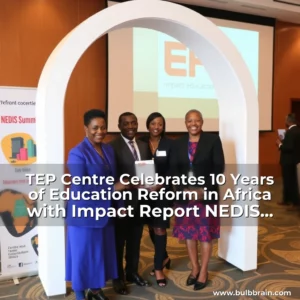 Artistic representation for TEP Centre Celebrates 10 Years of Education Reform in Africa with Impact Report NEDIS Summit THISDAYLIVE